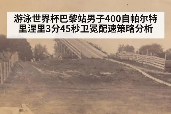 游泳世界杯巴黎站男子400自帕尔特里涅里3分45秒卫冕配速策略分析