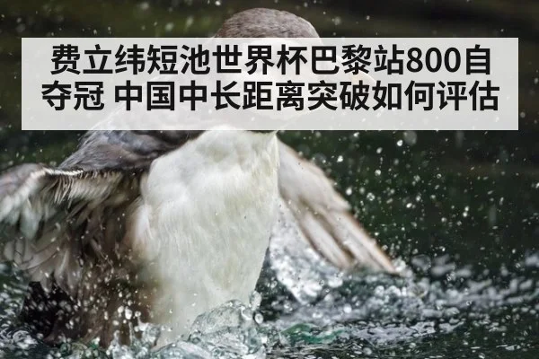 费立纬短池世界杯巴黎站800自夺冠 中国中长距离突破如何评估