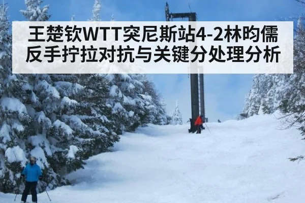 王楚钦WTT突尼斯站4-2林昀儒 反手拧拉对抗与关键分处理分析