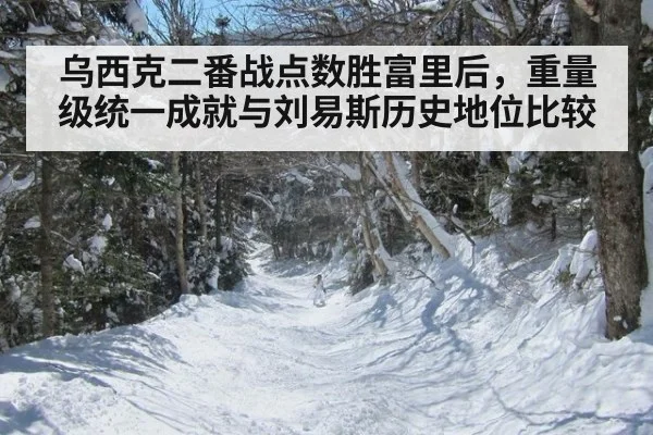 乌西克二番战点数胜富里后，重量级统一成就与刘易斯历史地位比较